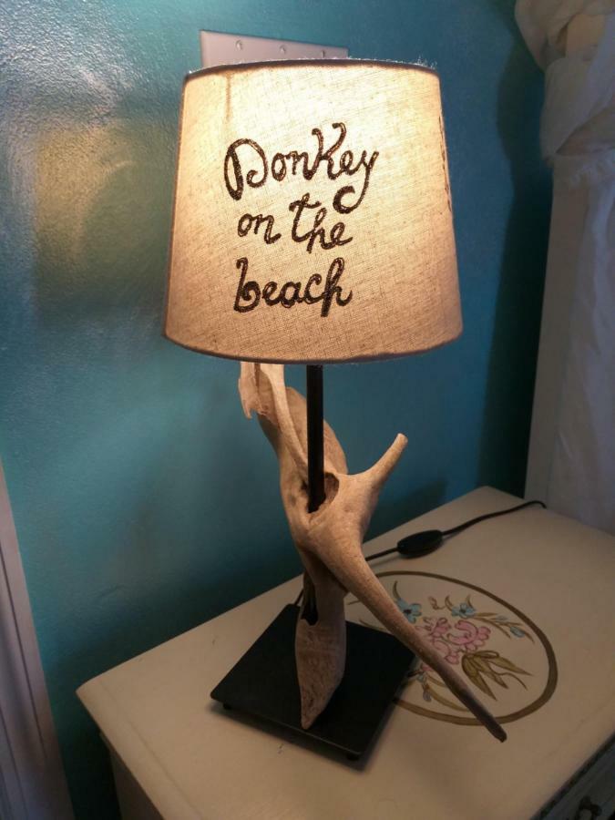 Donkey On The Beach Cobbs Cross المظهر الخارجي الصورة